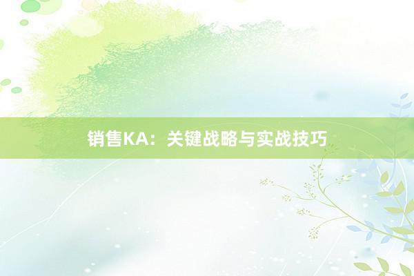 销售KA：关键战略与实战技巧